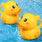 jouet de bain- thomas™