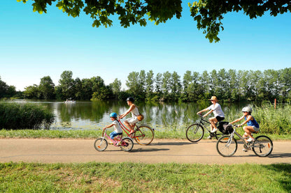 le vélo parfait  pour les adolescents confort, de 16 à 20 pouces pour garçons et filles,